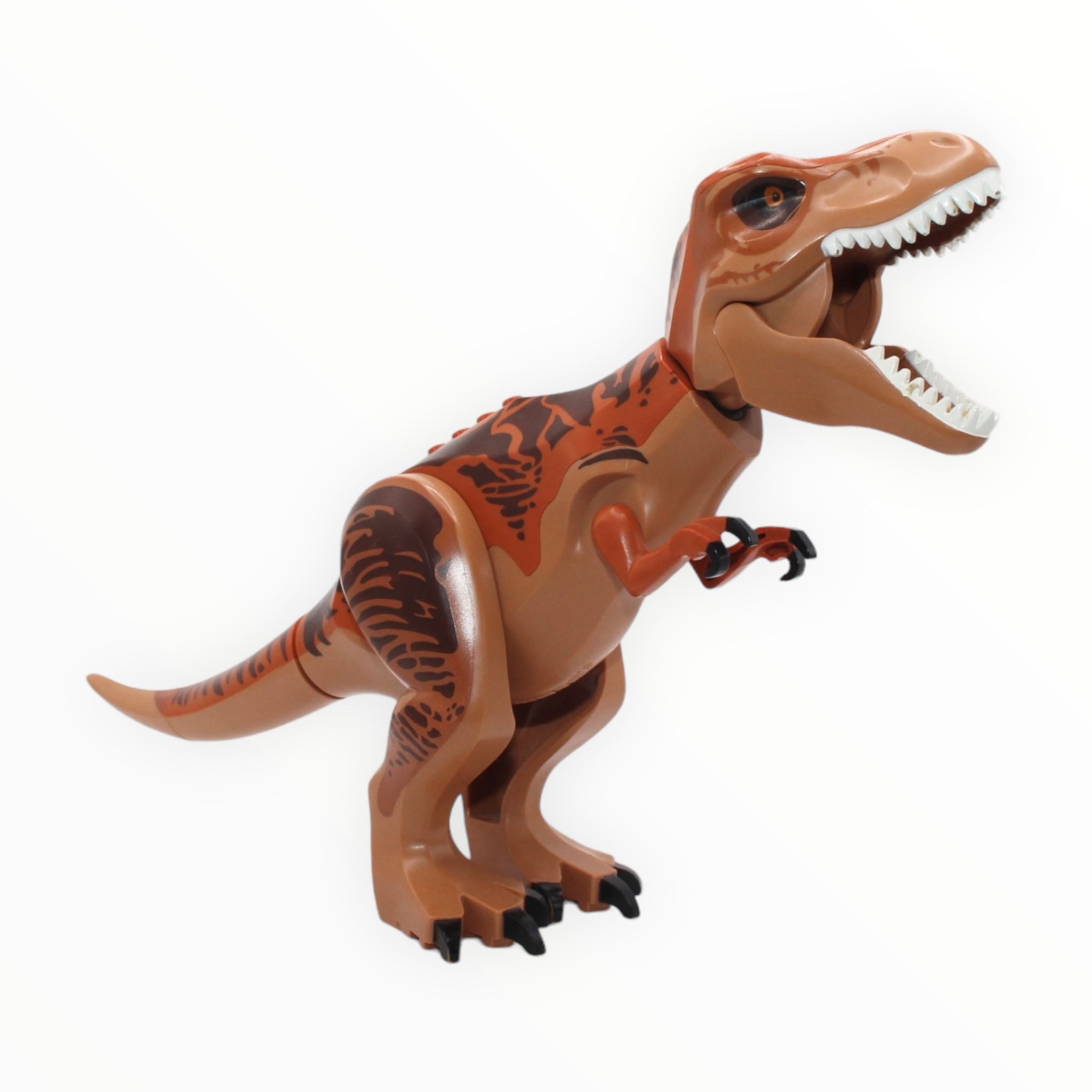 Tyrannosaurus rex (dark orange and medium nougat, 2015)