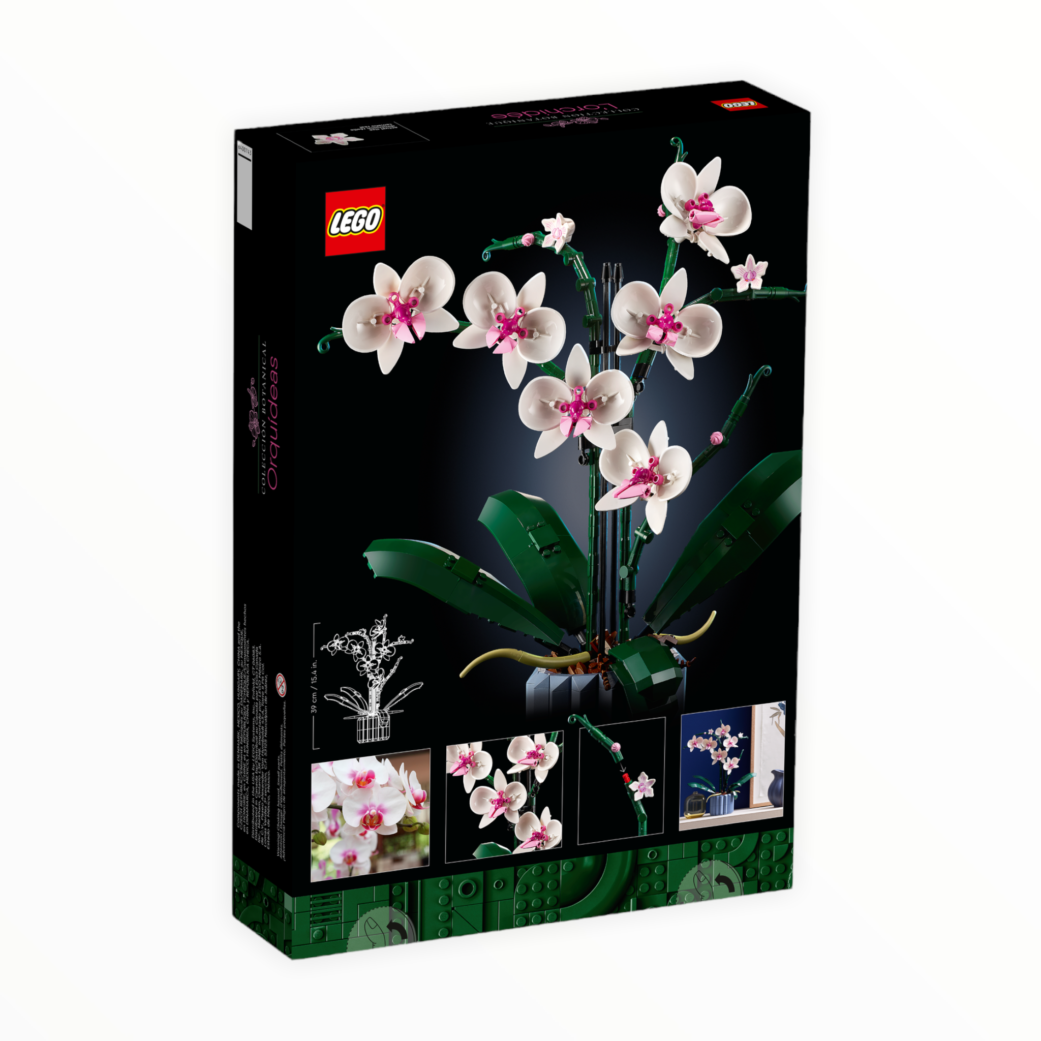 10311 Botanical Collection Orchid