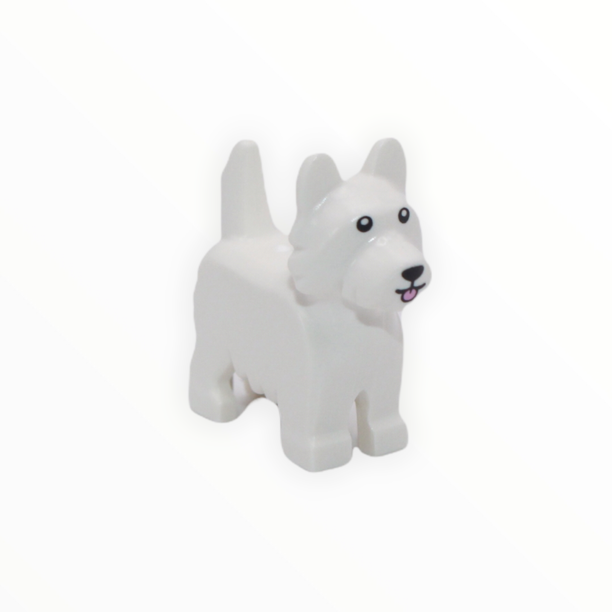 White Terrier (pink tongue)