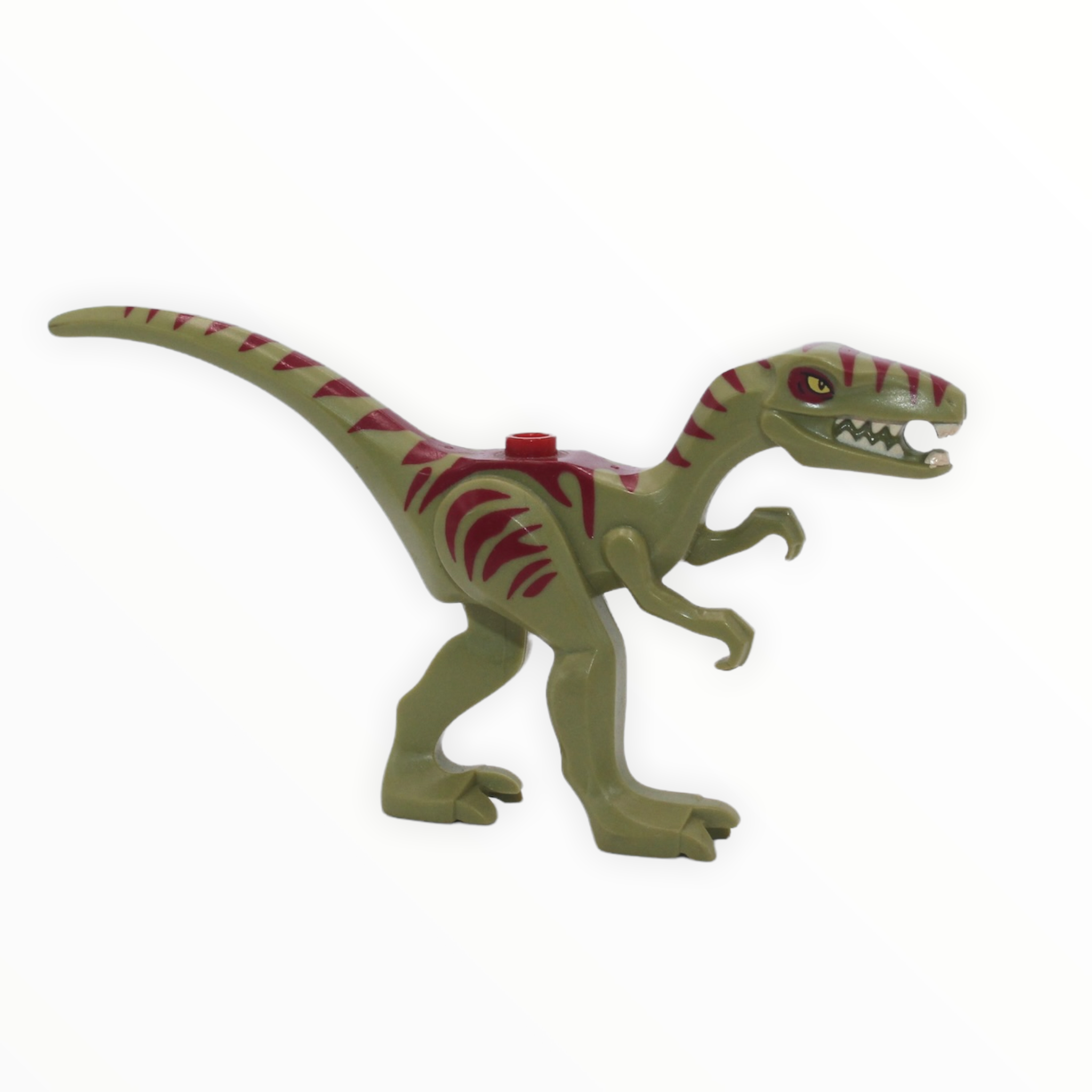 Coelophysis / Gallimimus (olive green with dark red stripes)
