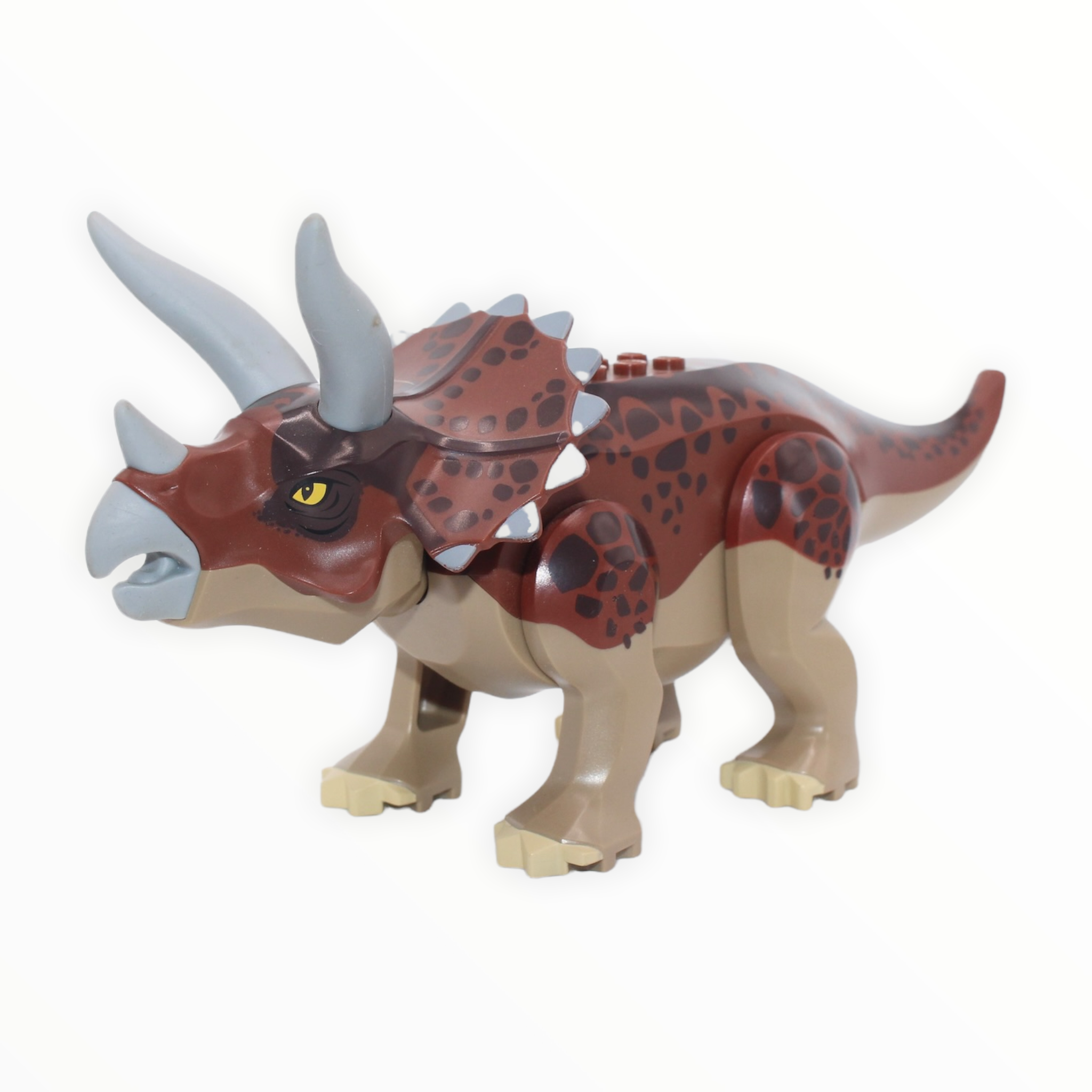 Reddish Brown Triceratops (dark tan underbelly)