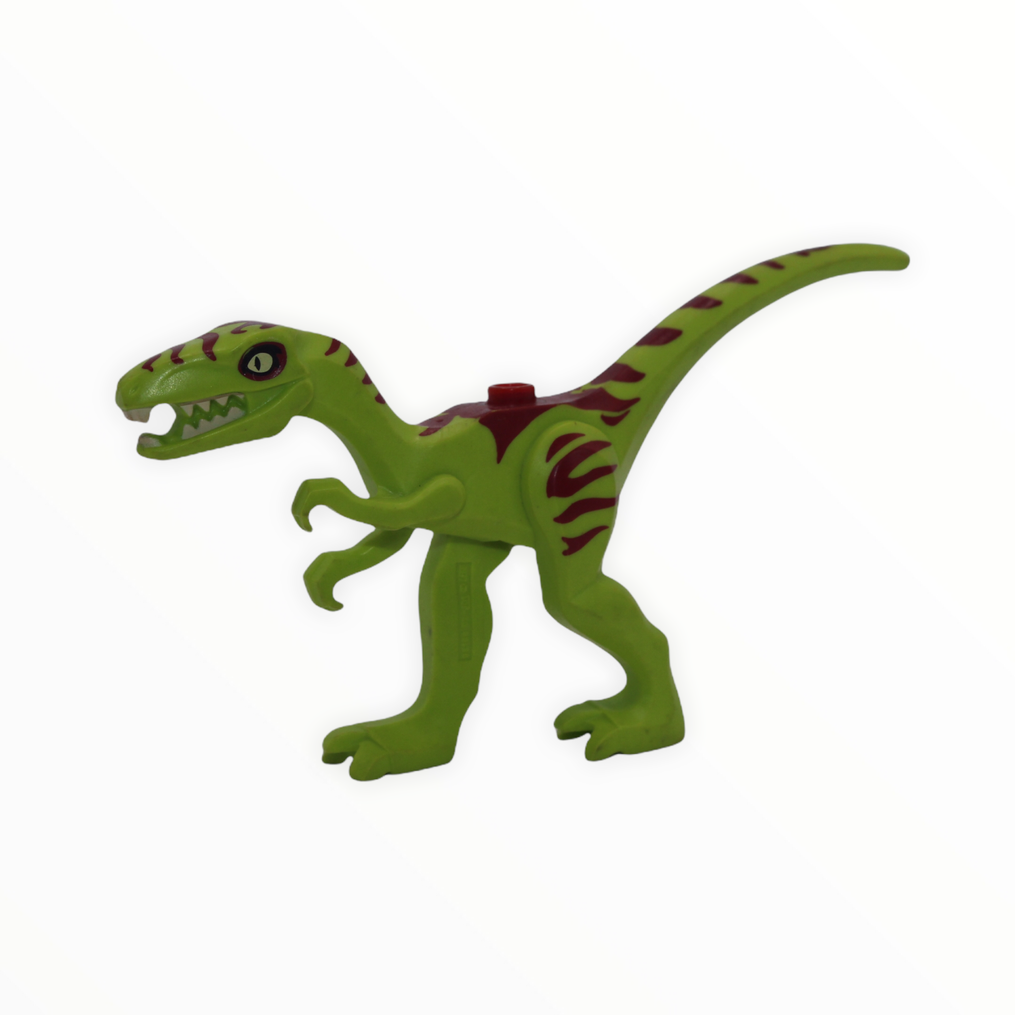 Coelophysis / Gallimimus (bright green with dark red stripes)