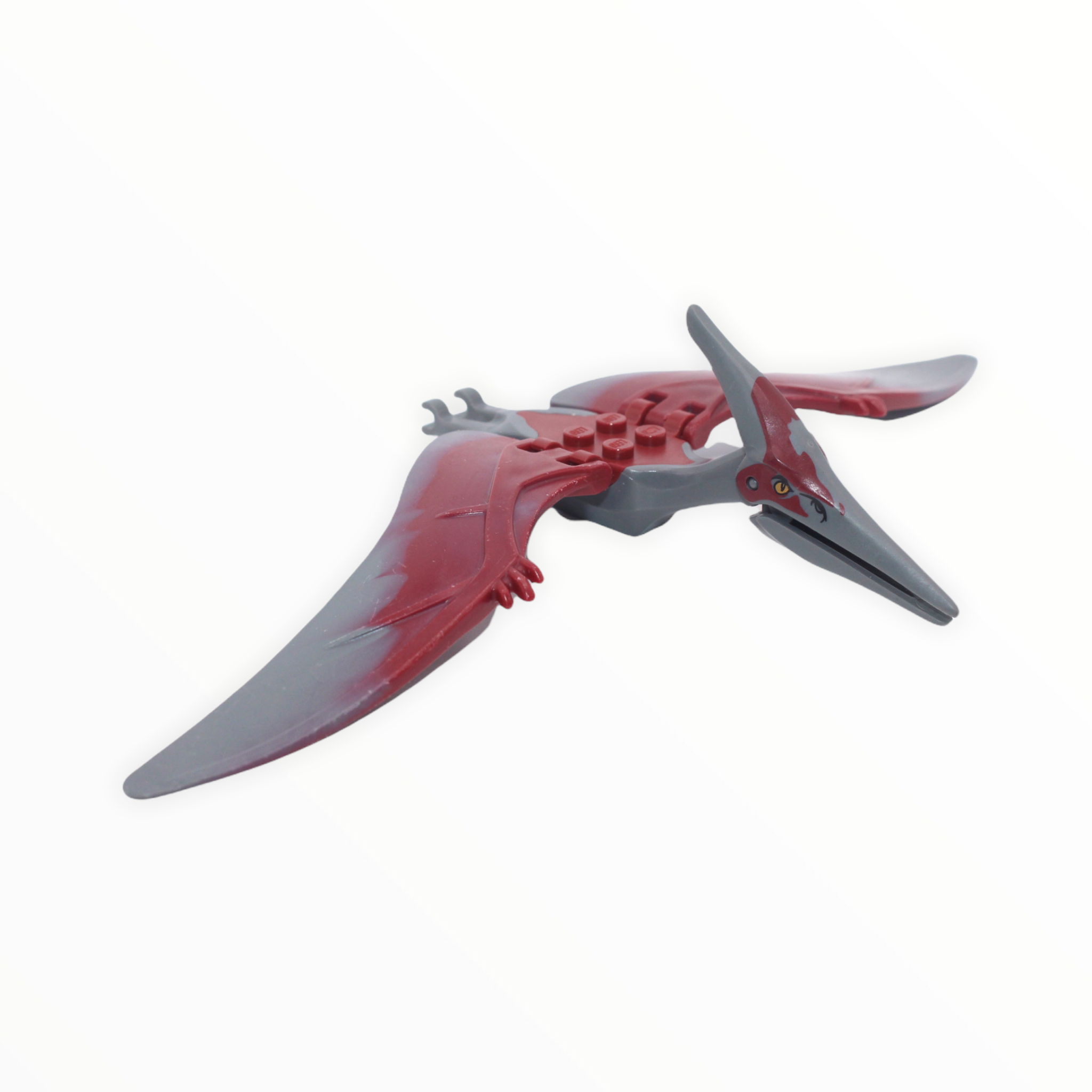 Dark Gray and Red Pteranodon