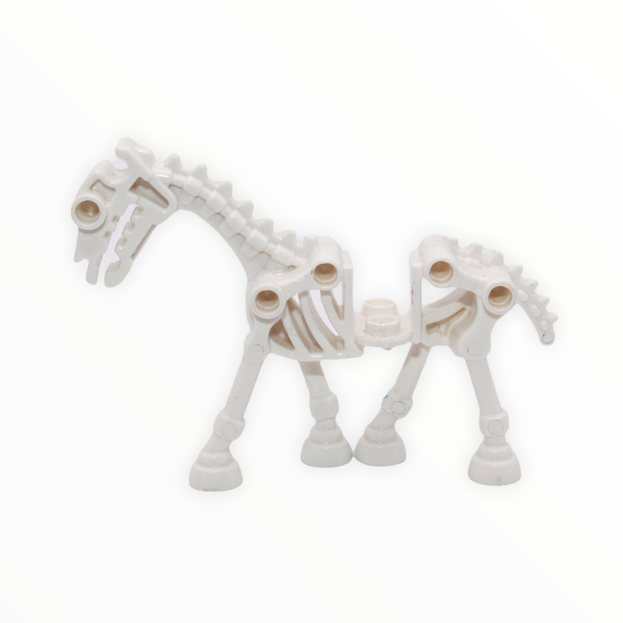 White Skeleton Horse