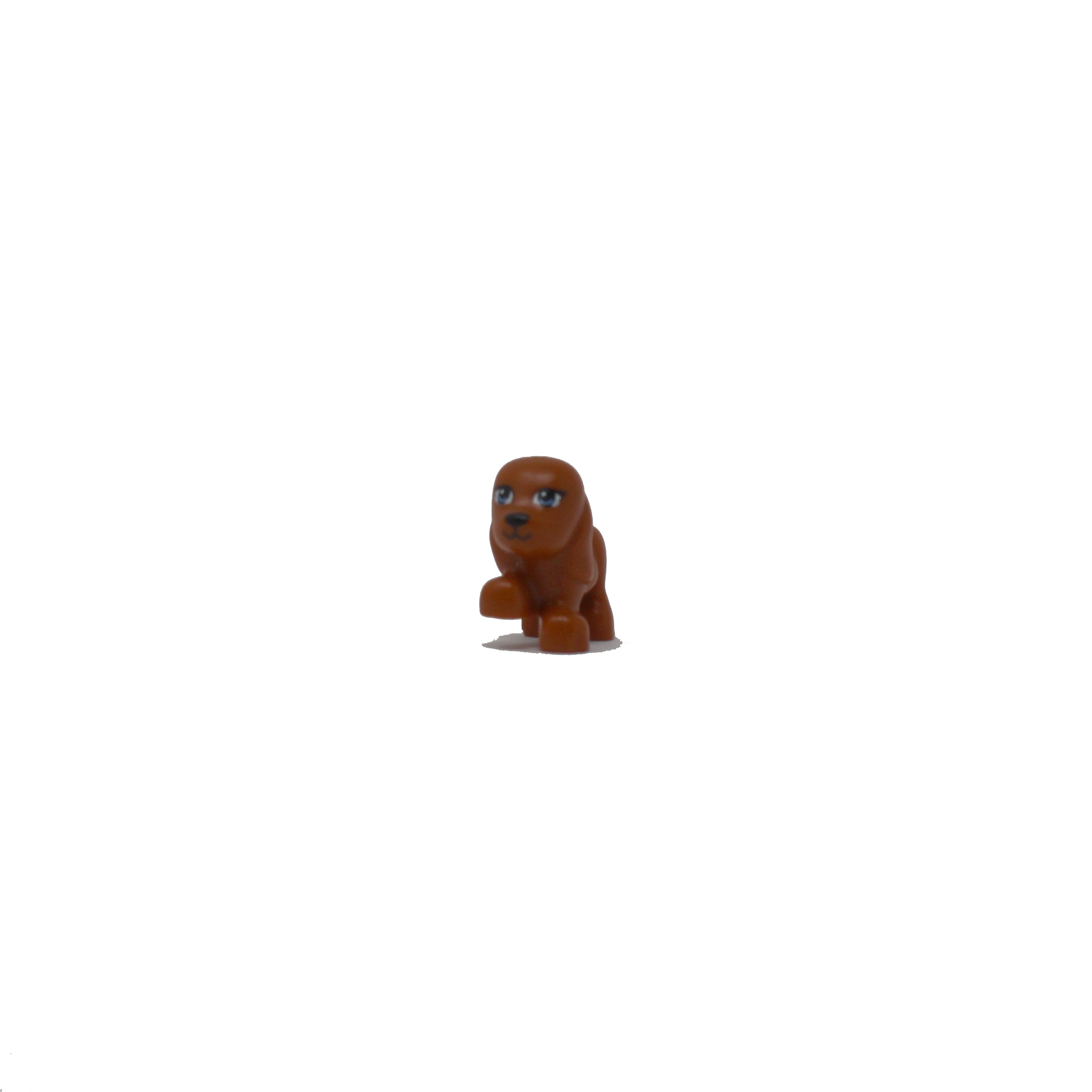 Brown Puppy (Friends)