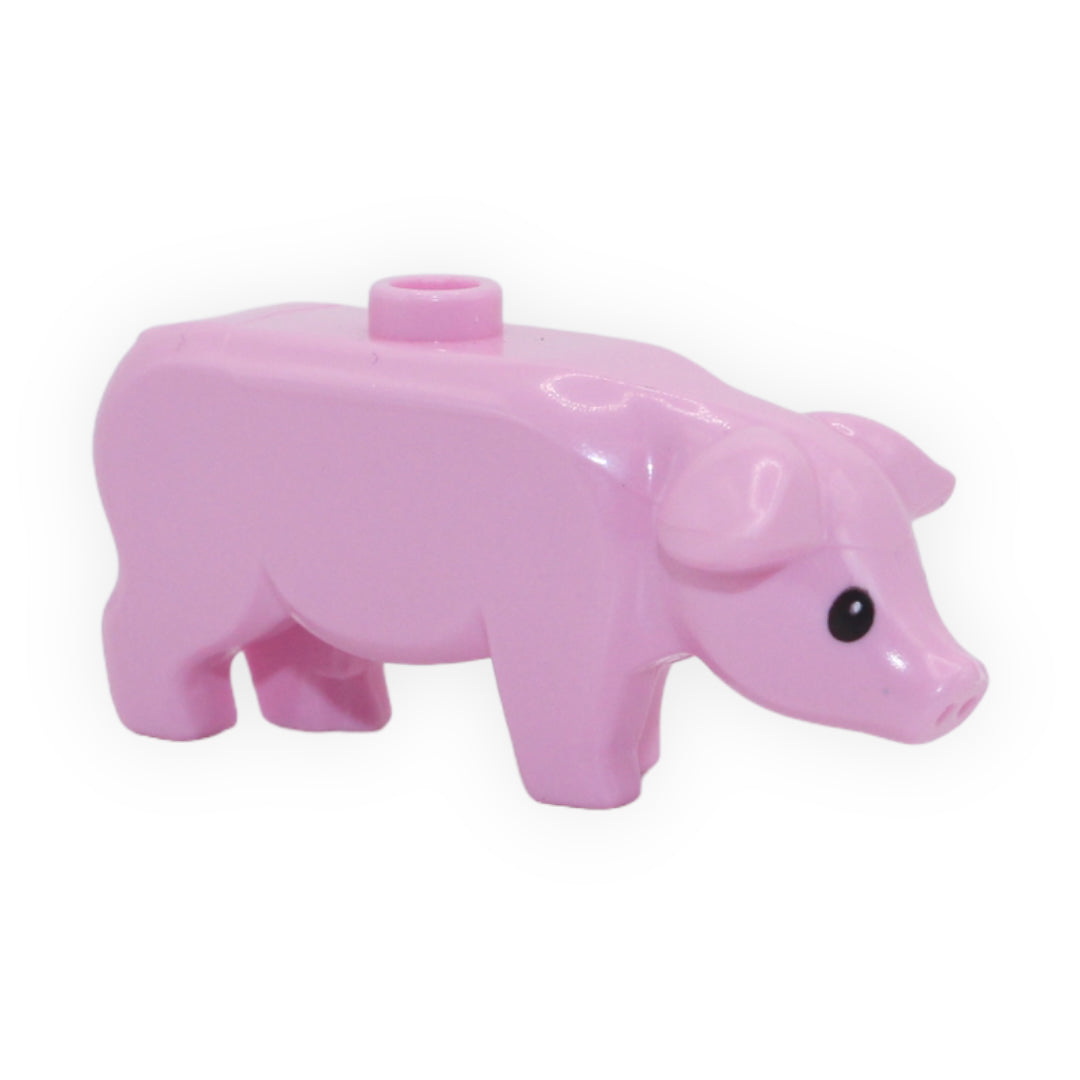 Bright Pink Pig