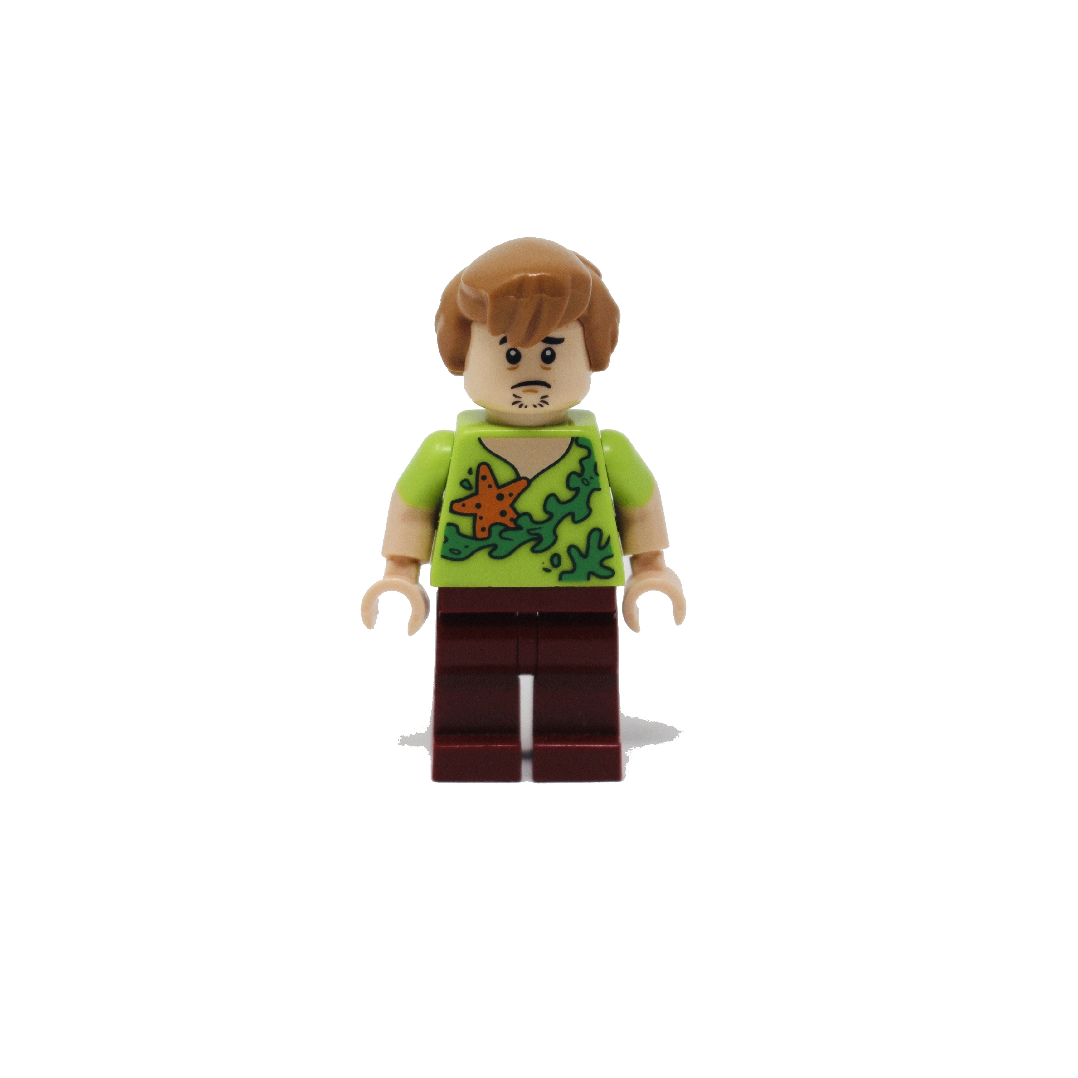 Shaggy Rogers (starfish and seaweed torso)