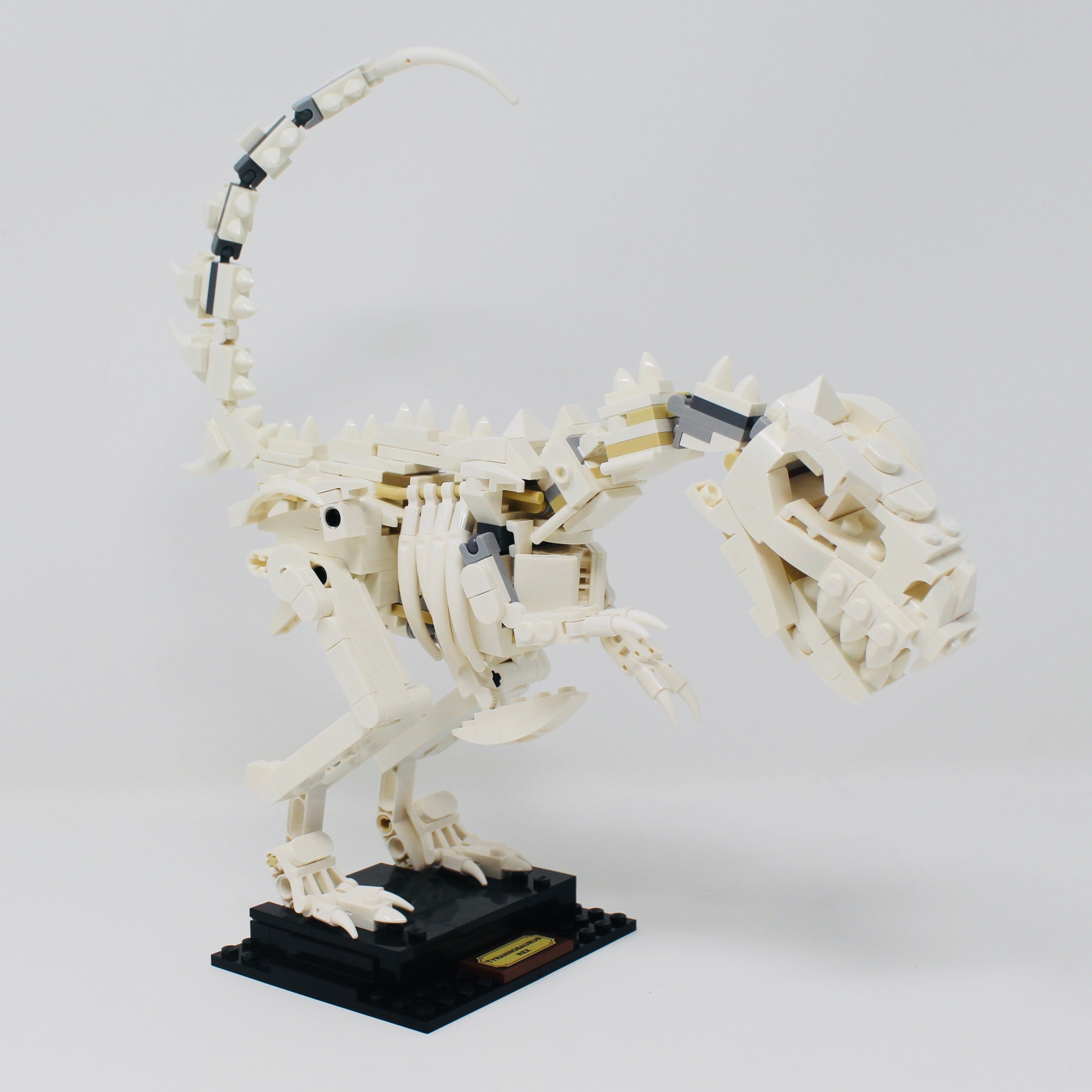 Used Set 21320 LEGO Ideas Dinosaur Fossils