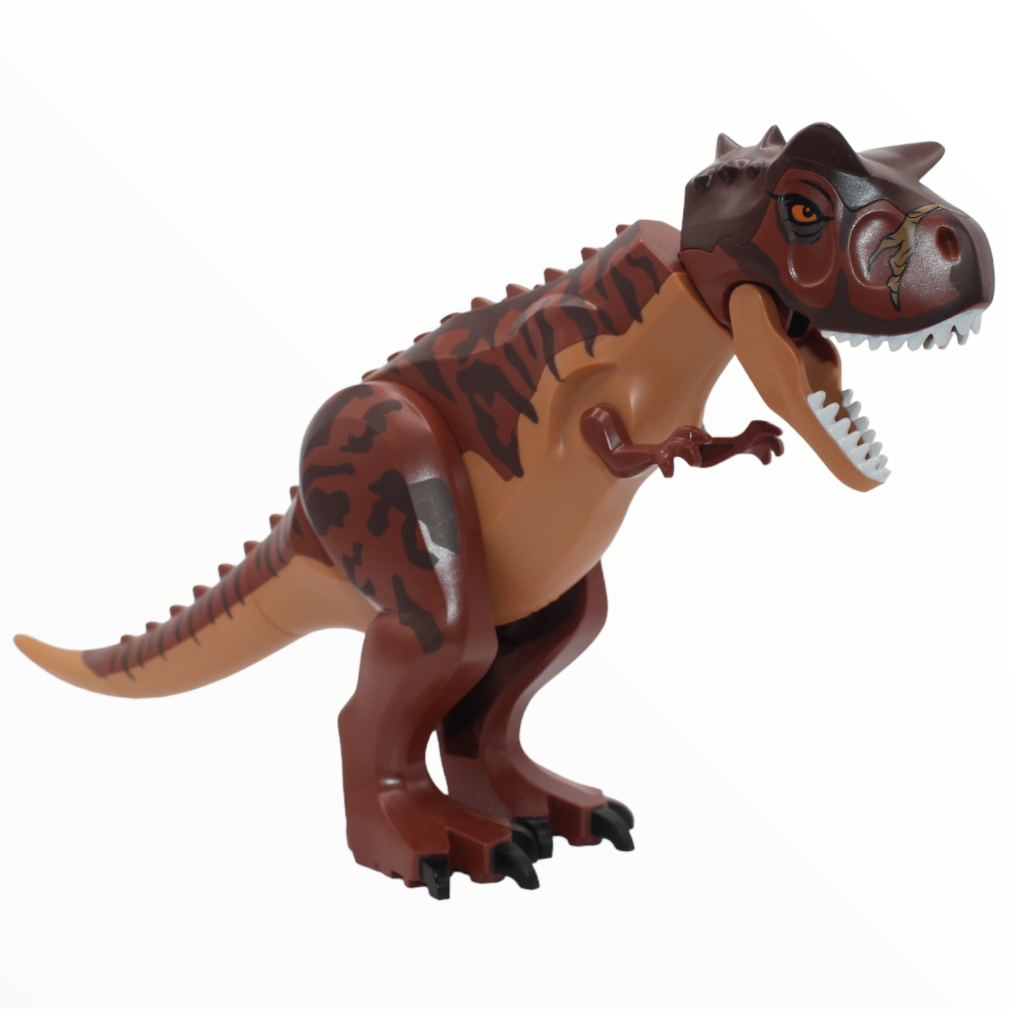Carnotaurus (stripes pattern, scar on head, 2021)