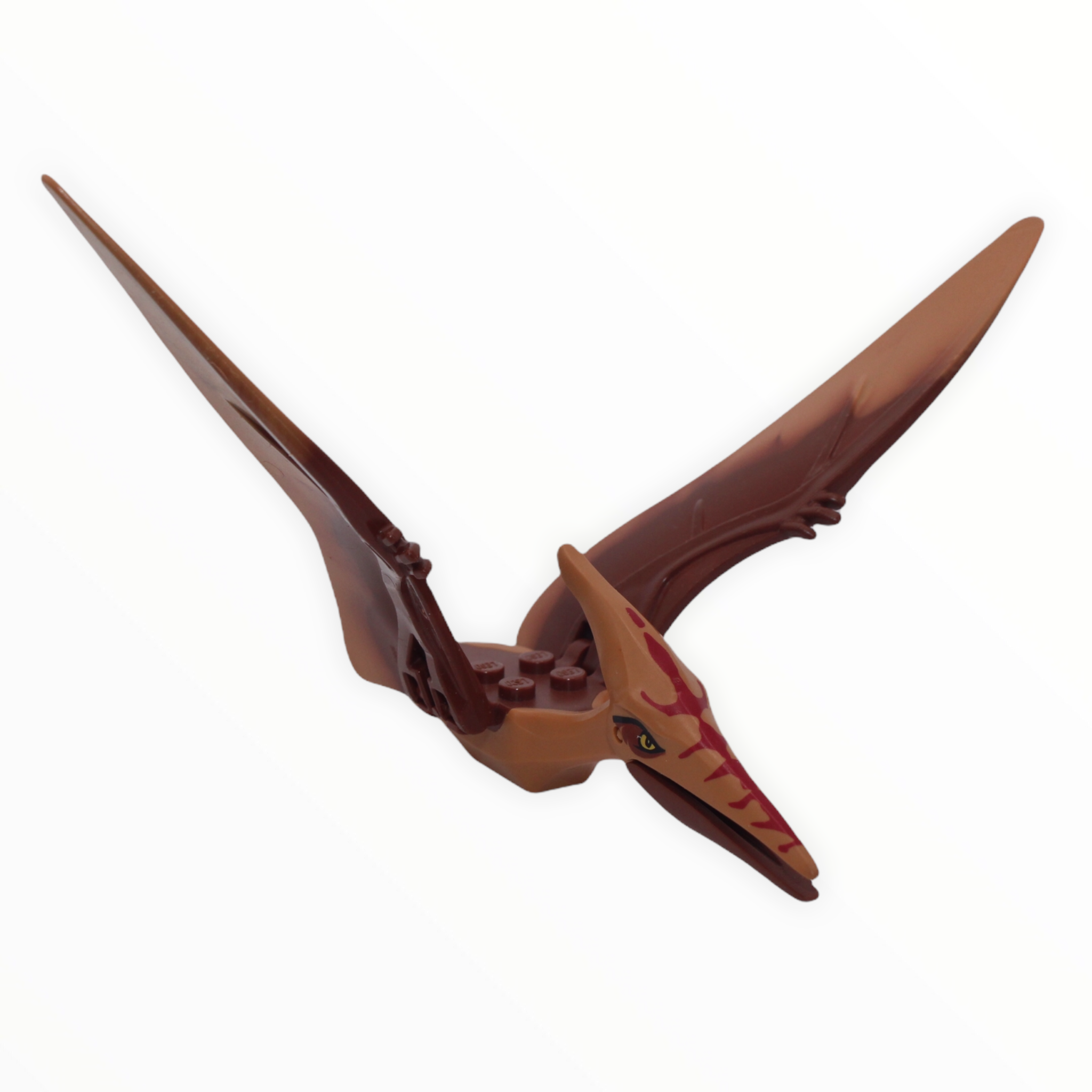 Nougat and Brown Pteranodon