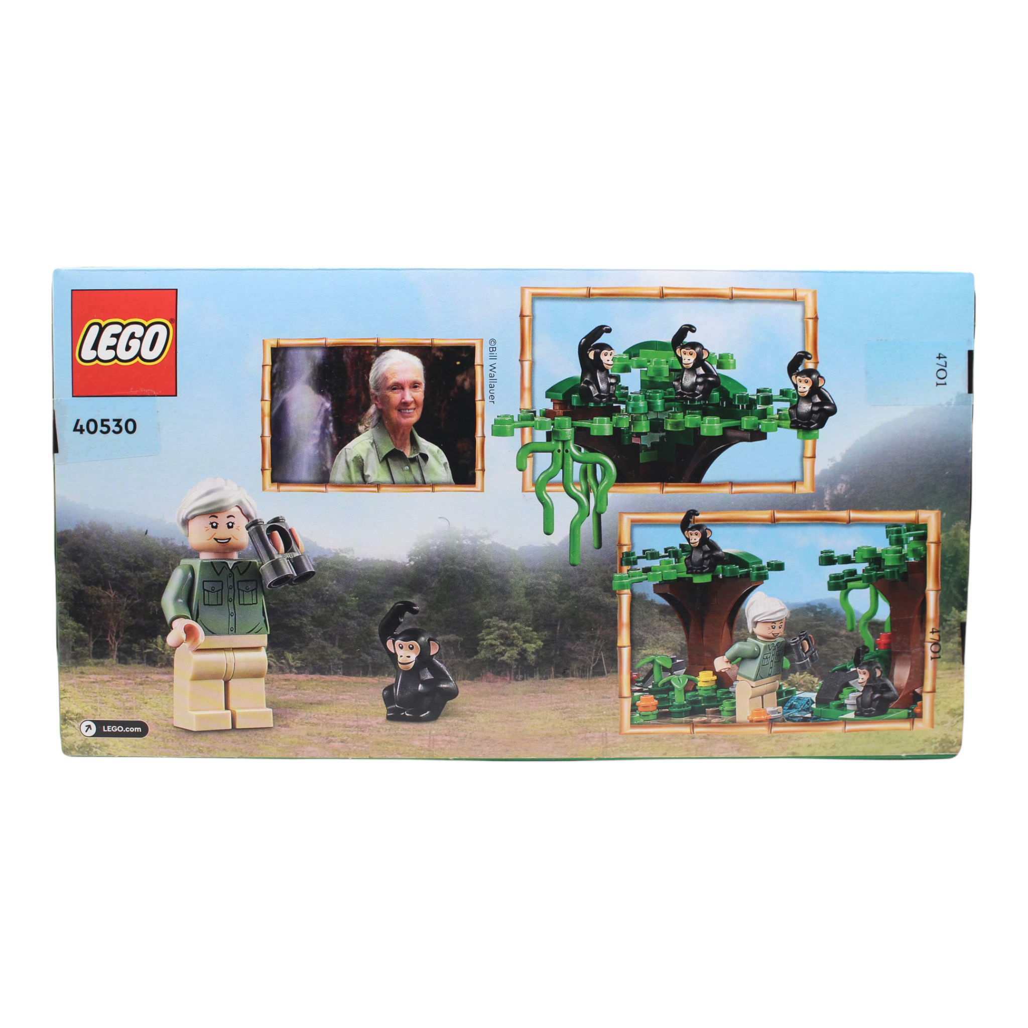 Retired Set 40530 LEGO Jane Goodall Tribute