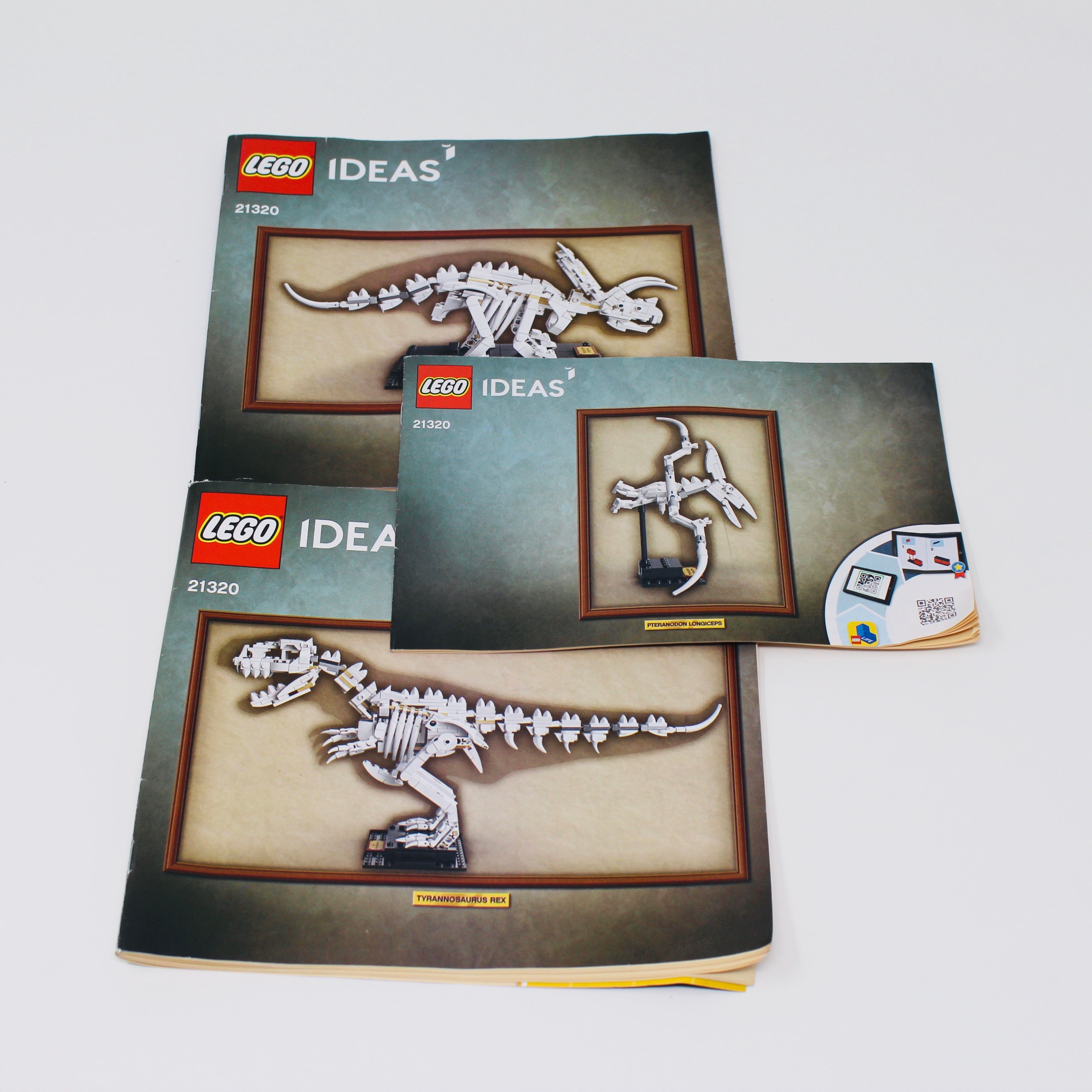 Used Set 21320 LEGO Ideas Dinosaur Fossils