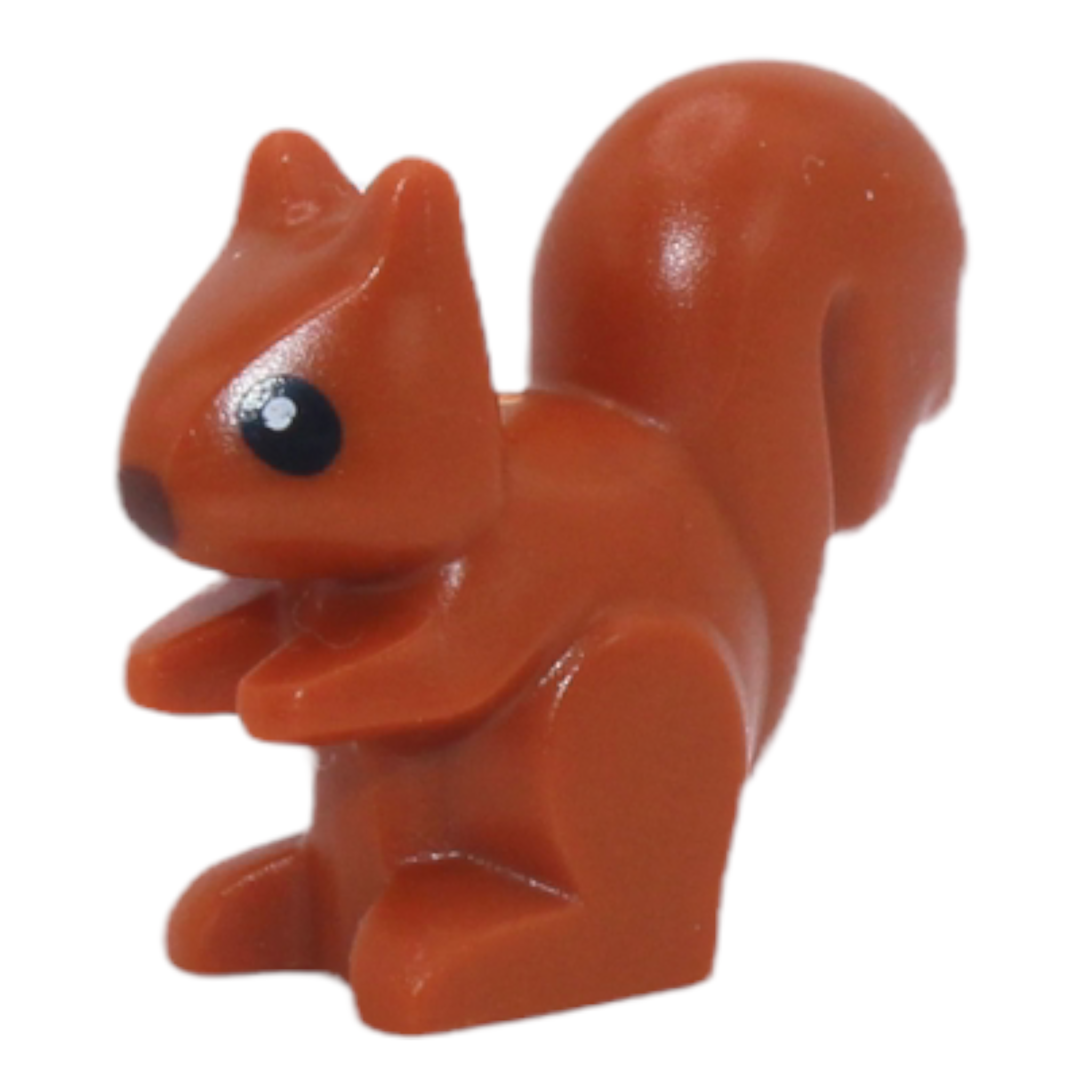 Dark Orange Squirrel (2022)