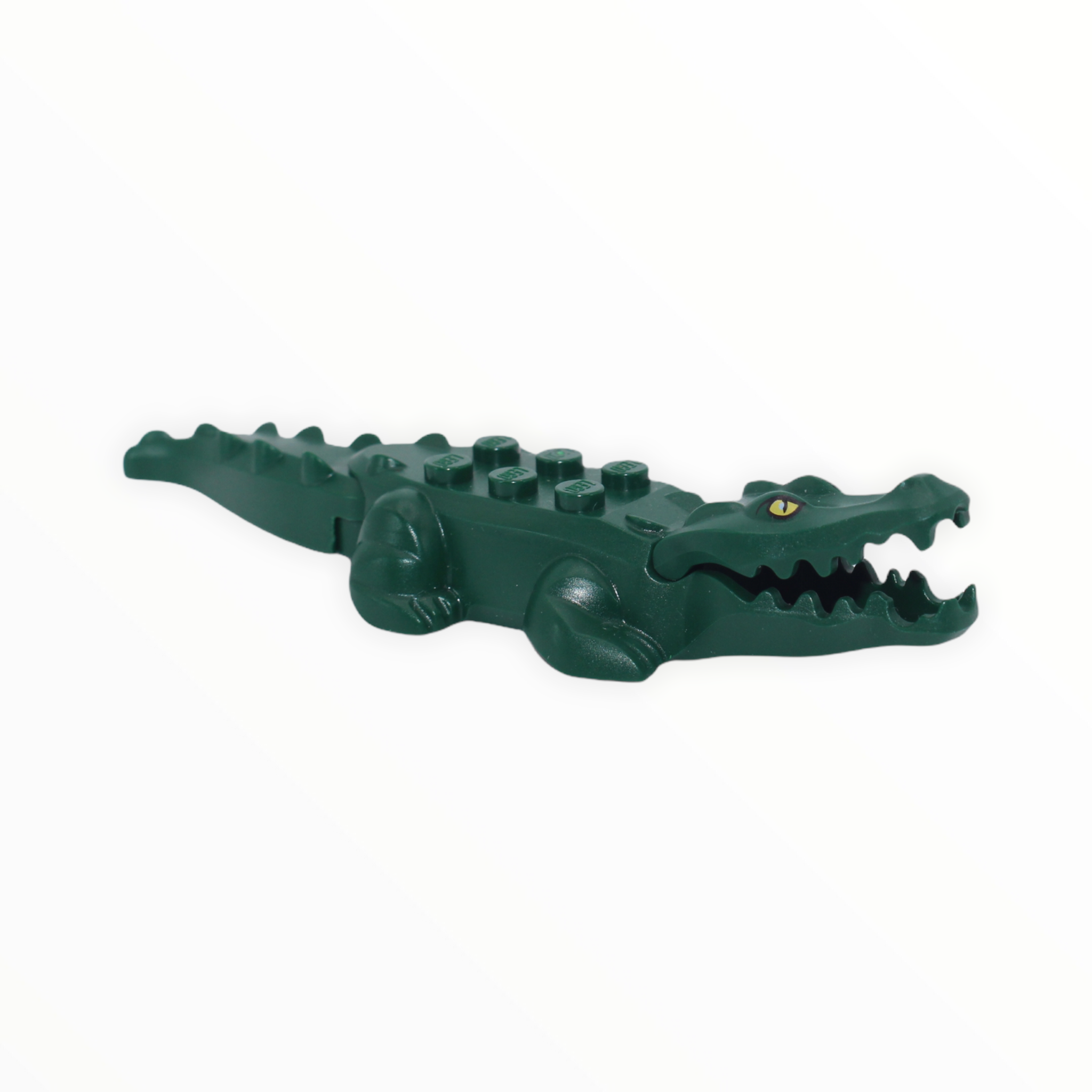Dark Green Alligator (newer, printed eyes)