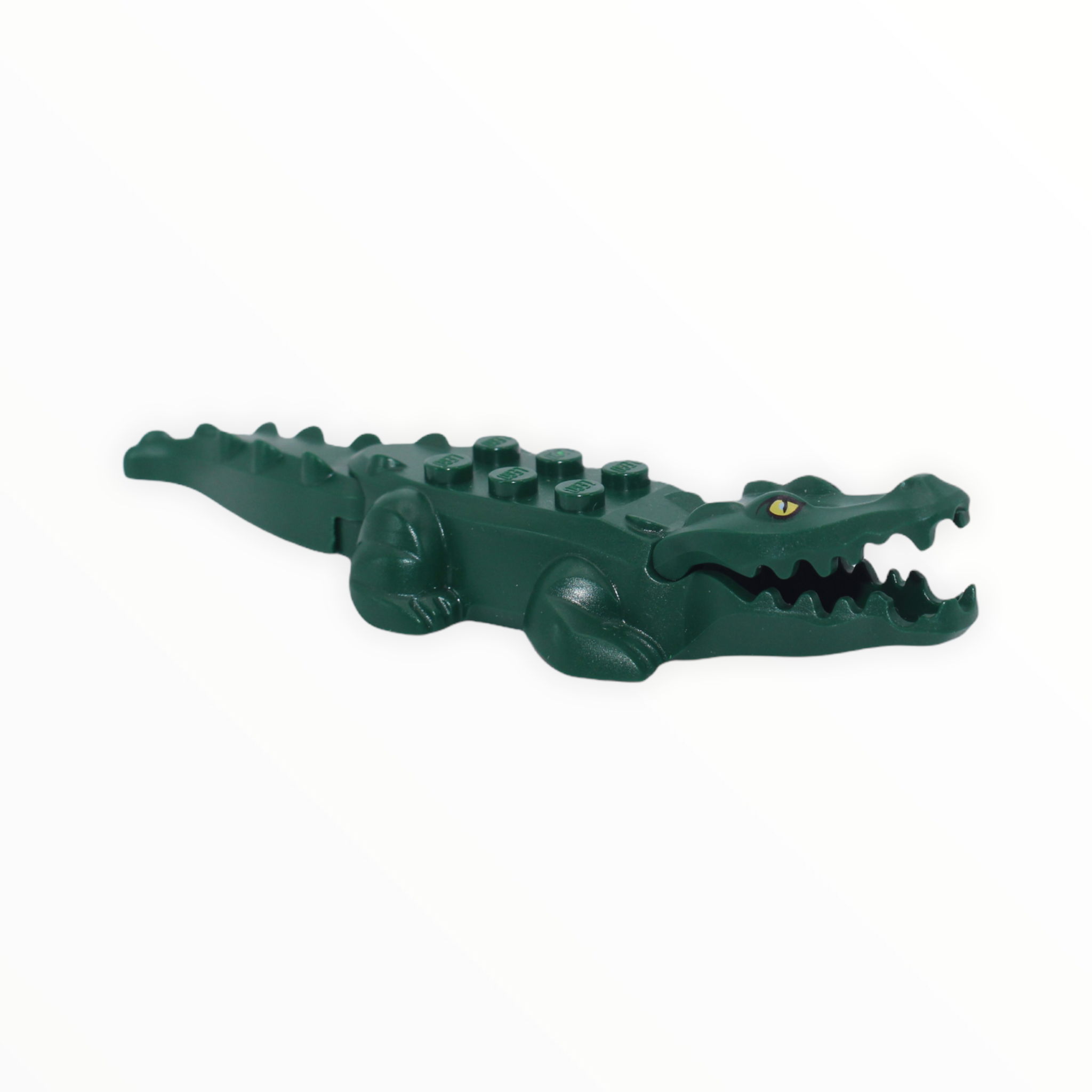 Dark Green Alligator / Crocodile (printed eyes)