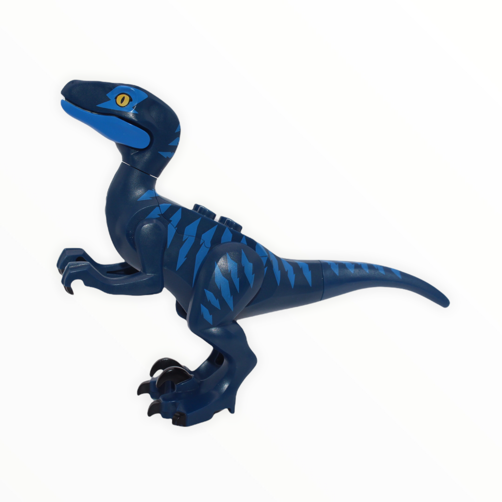 Dark Blue Velociraptor (blue eye patch)