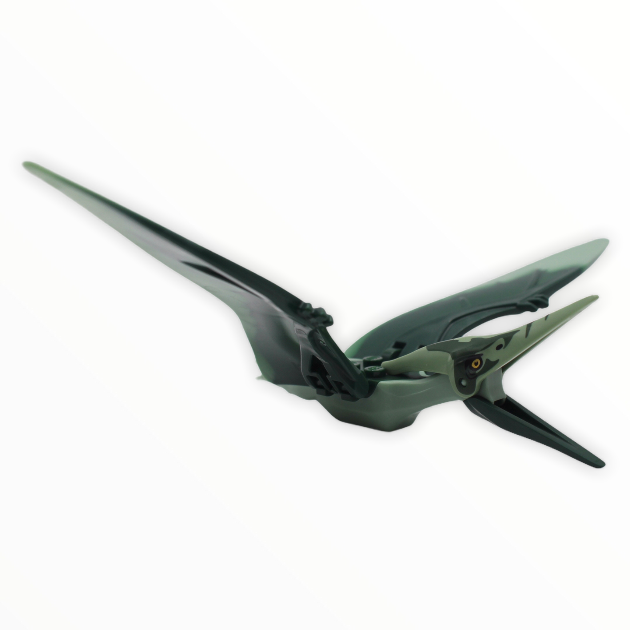 Sand Green Pteranodon (dark green back and forehead)