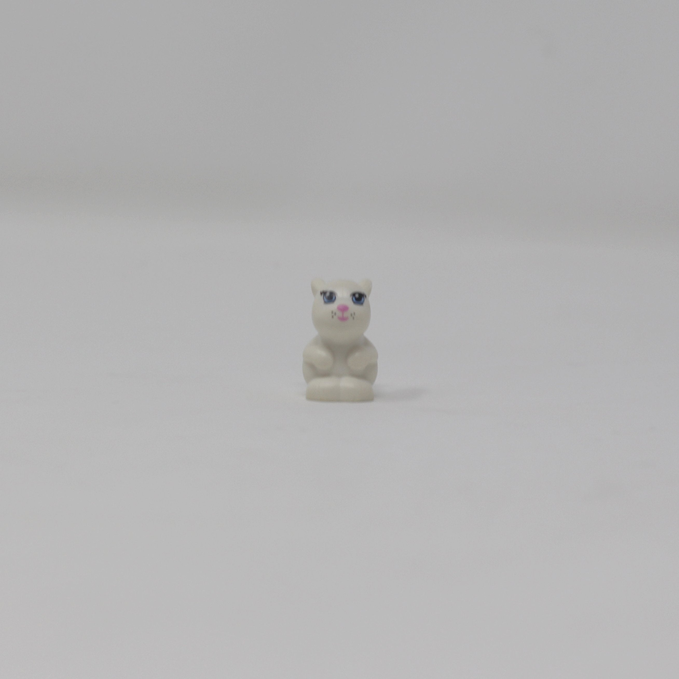 White Bunny (Friends)