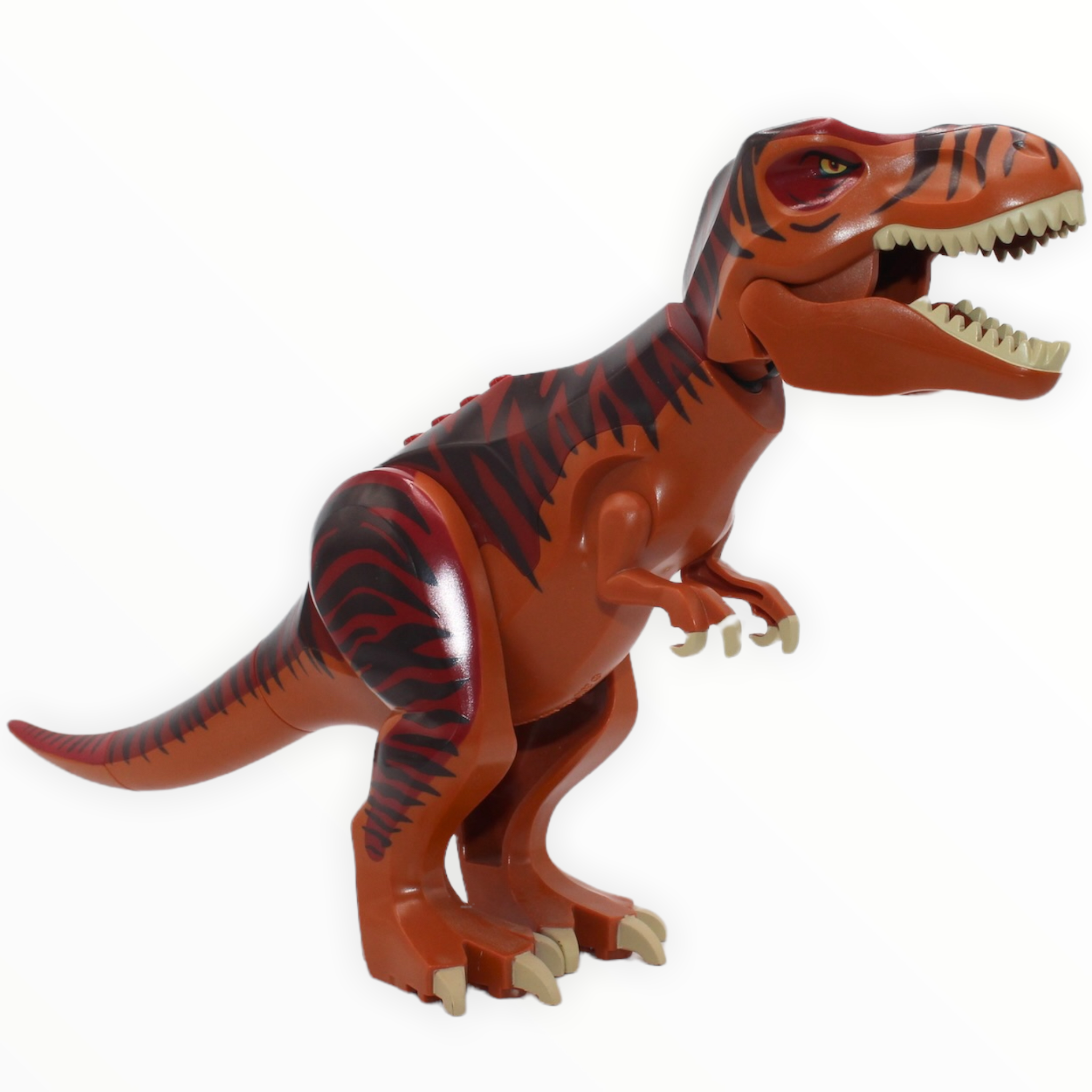 Tyrannosaurus rex (dark orange with dark red back, 2012)