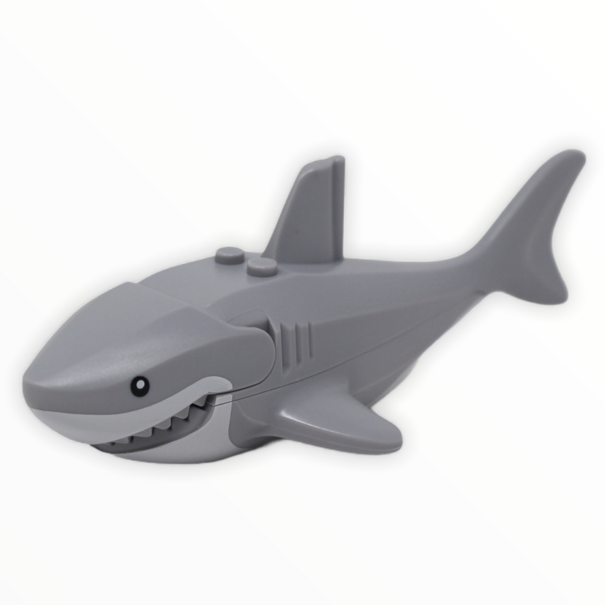 Great White Shark