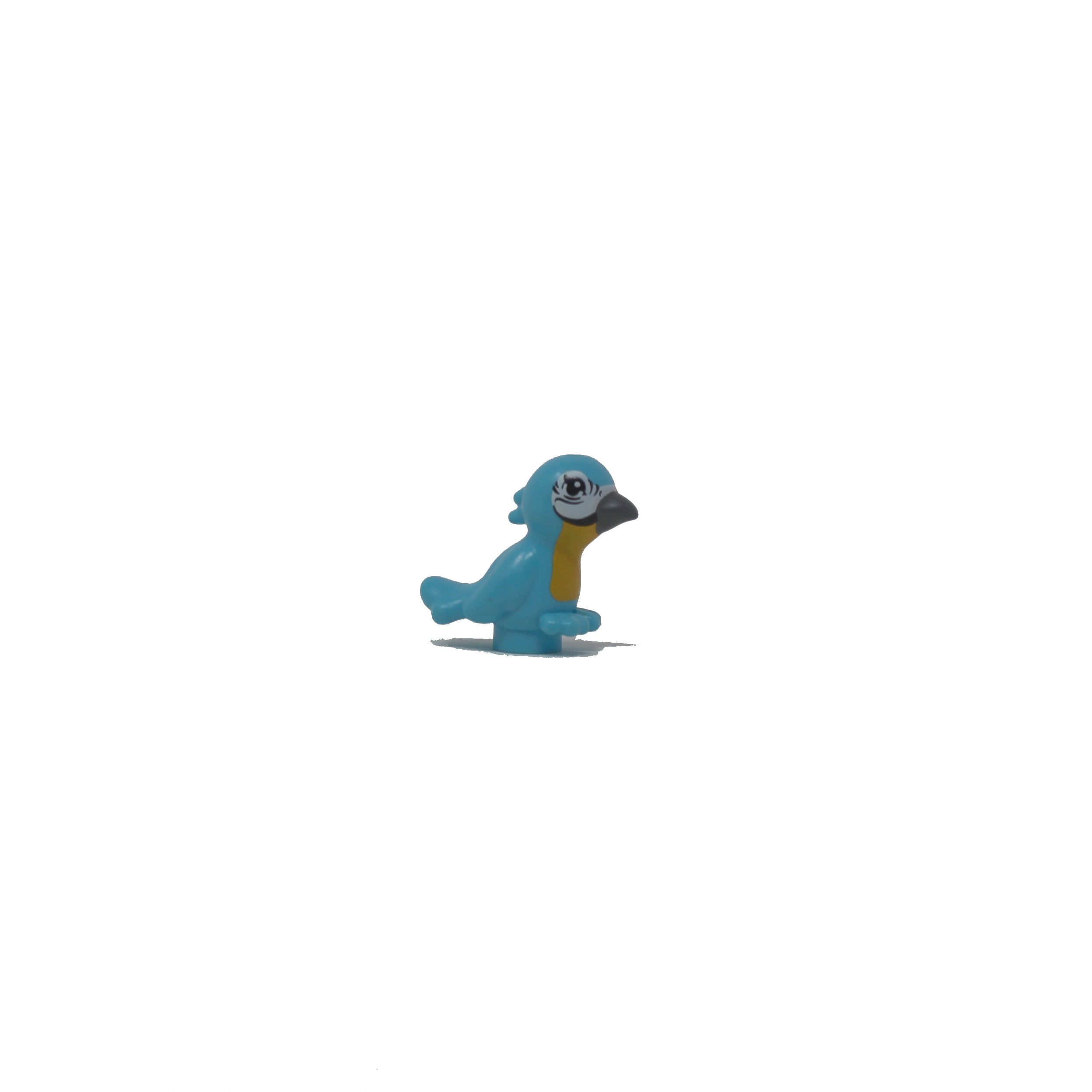 Blue Bird (yellow chest)