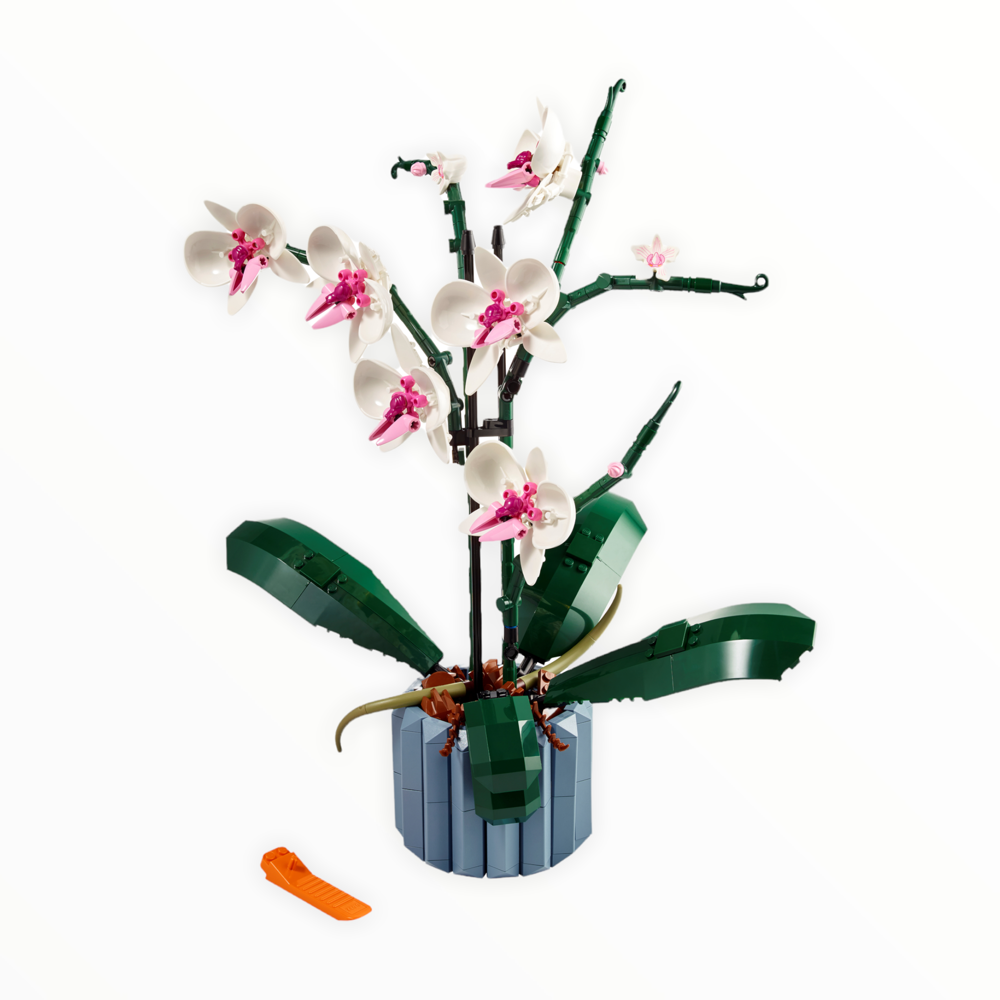 10311 Botanical Collection Orchid