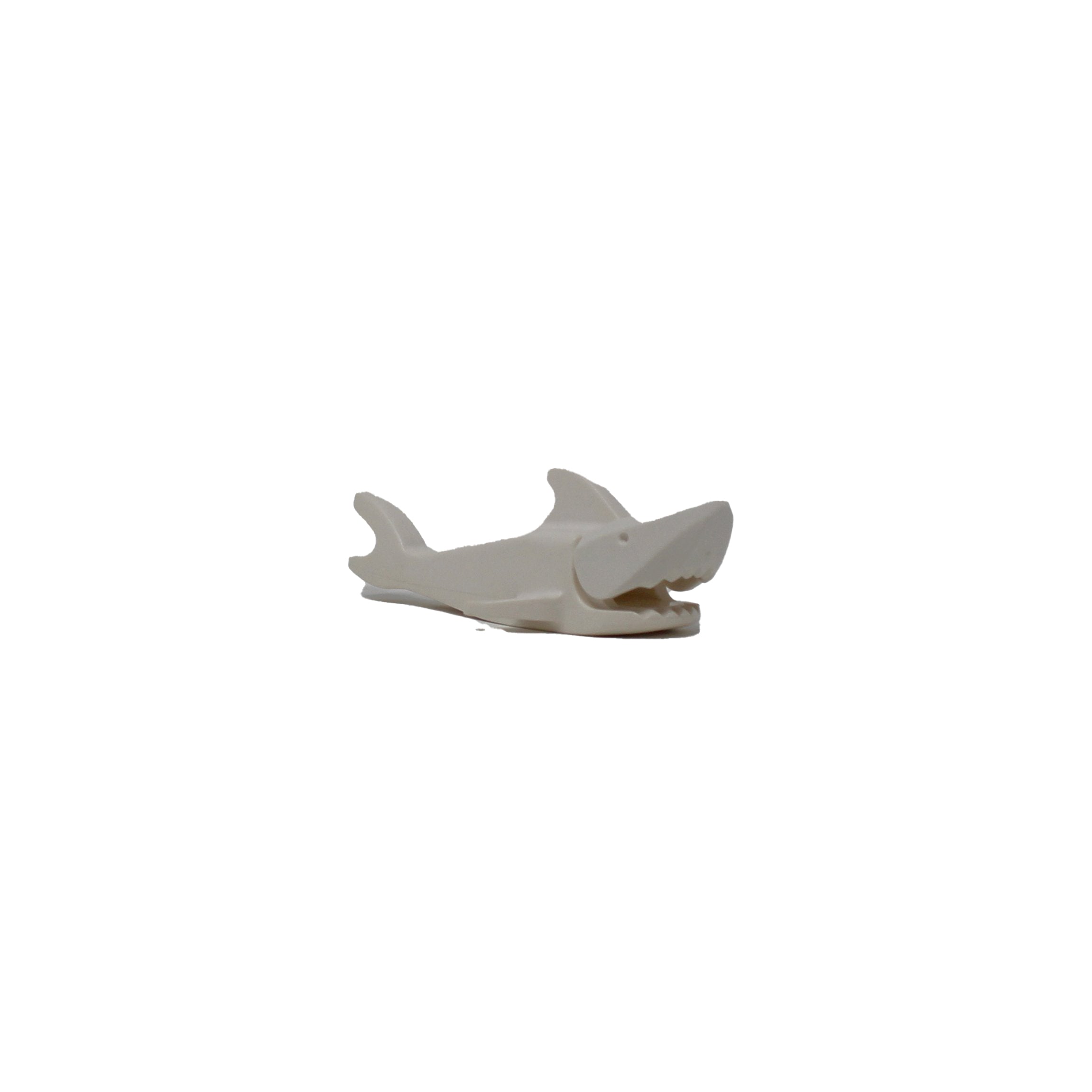 White Shark (old, no gills)