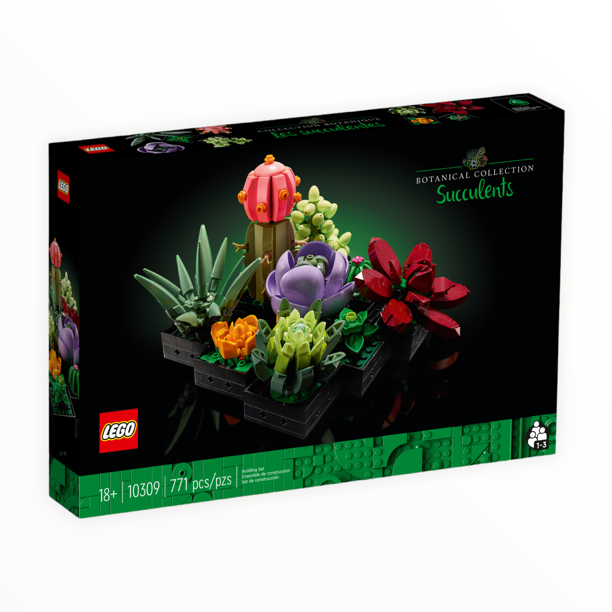 10309 Botanical Collection Succulents