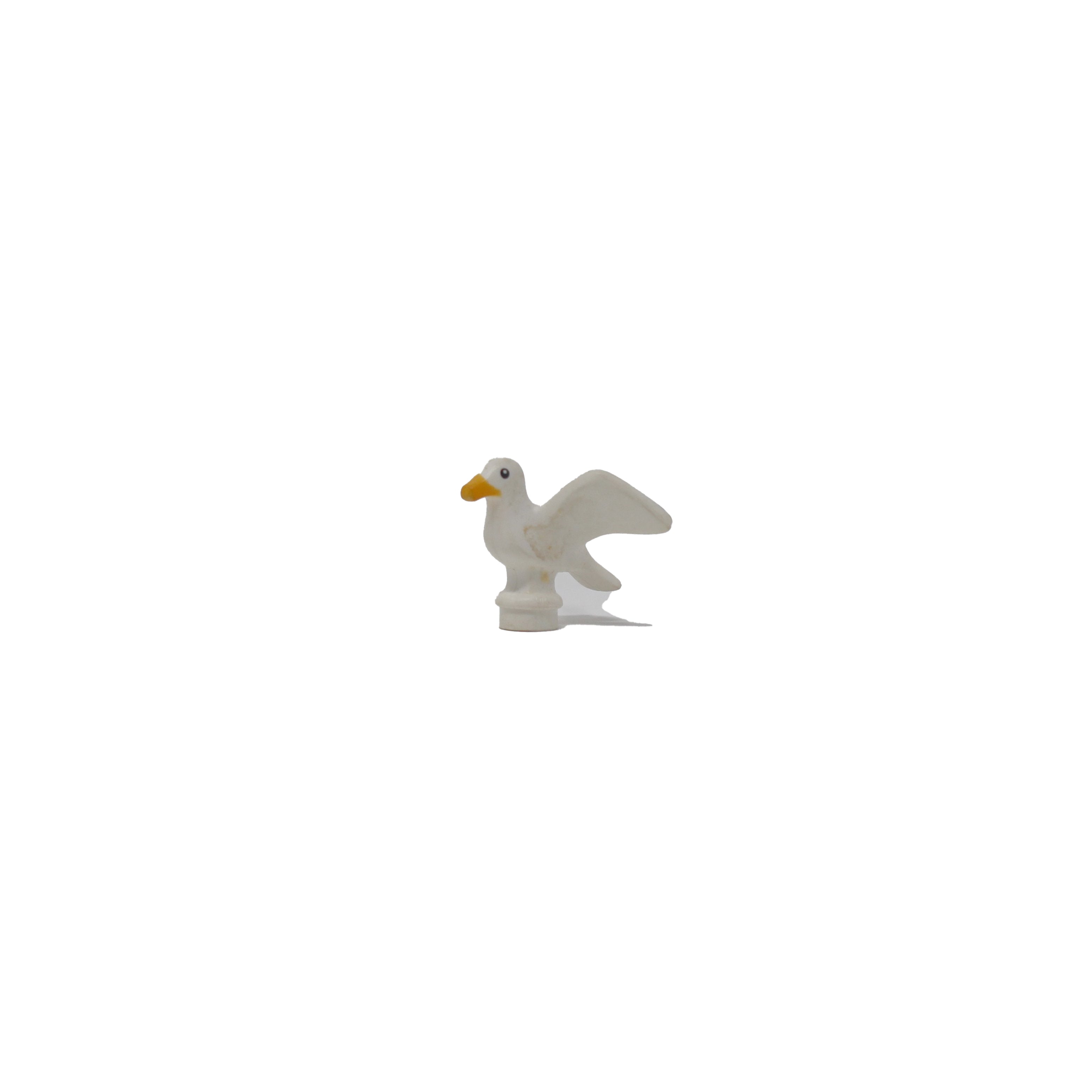 Seagull