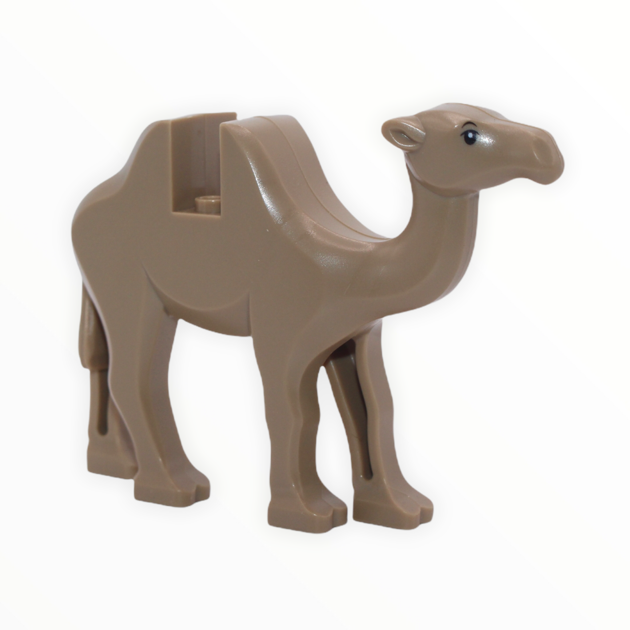 Camel (dark tan)