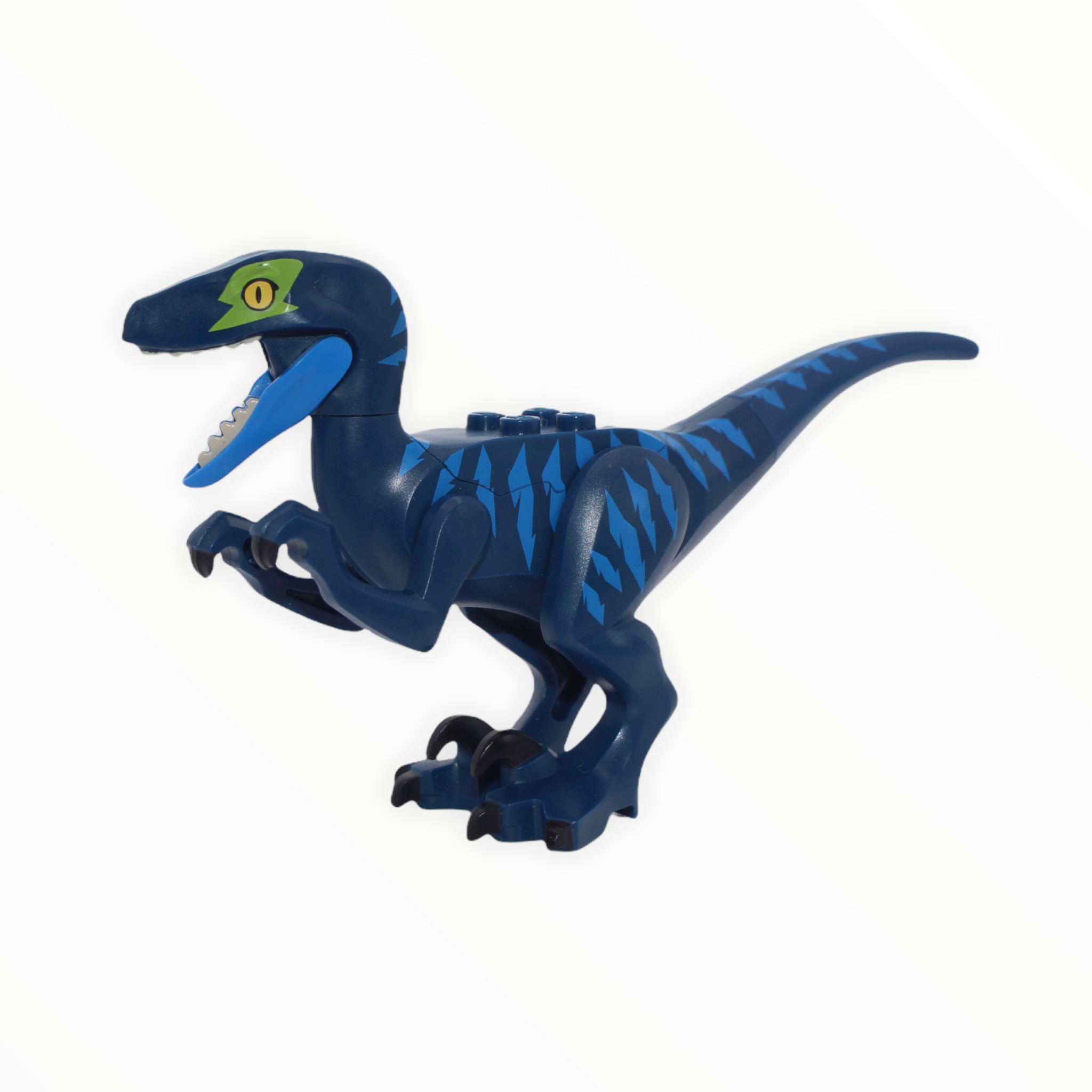 Dark Blue Velociraptor (lime green eyepatch)
