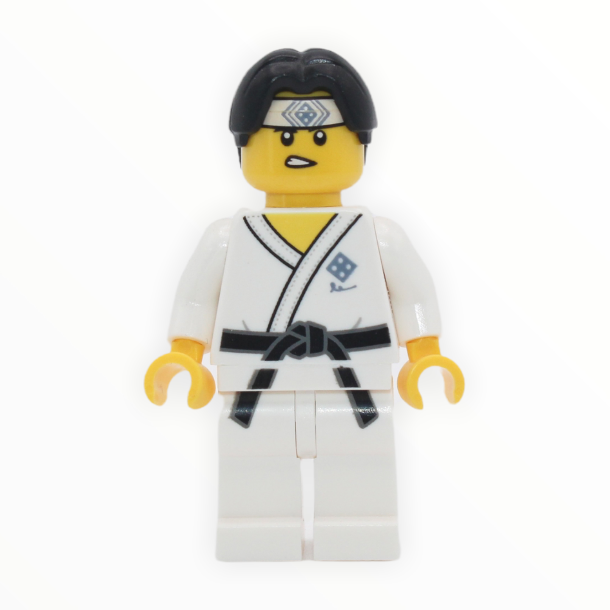 LEGO Series 20: Martial Arts Boy
