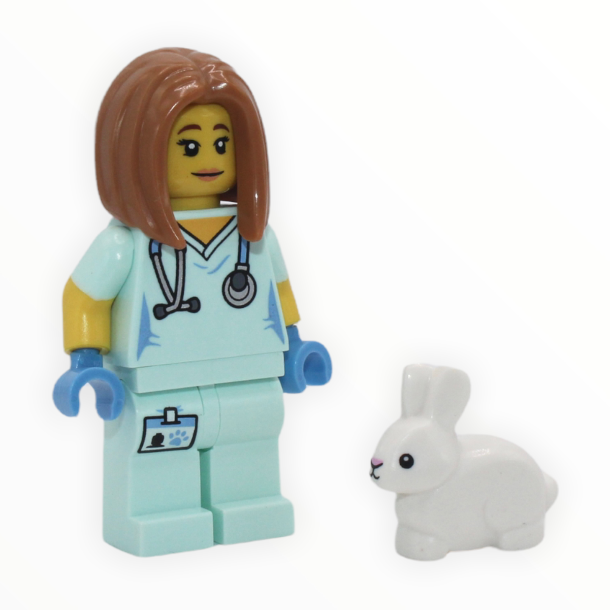 LEGO Series 17: Veterinarian