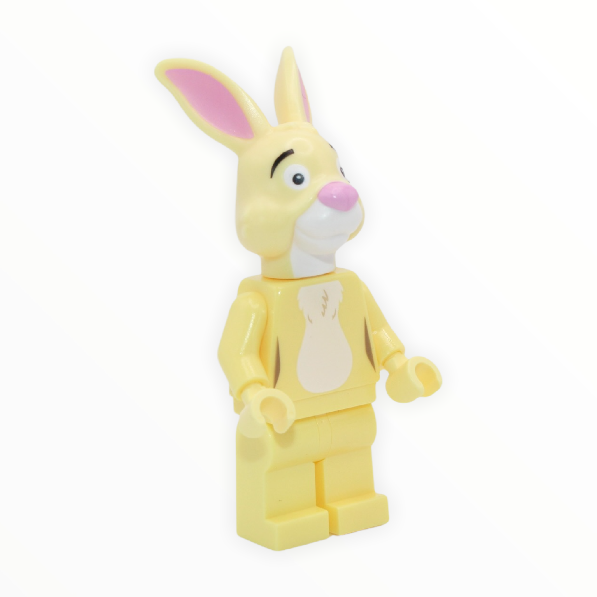 Rabbit