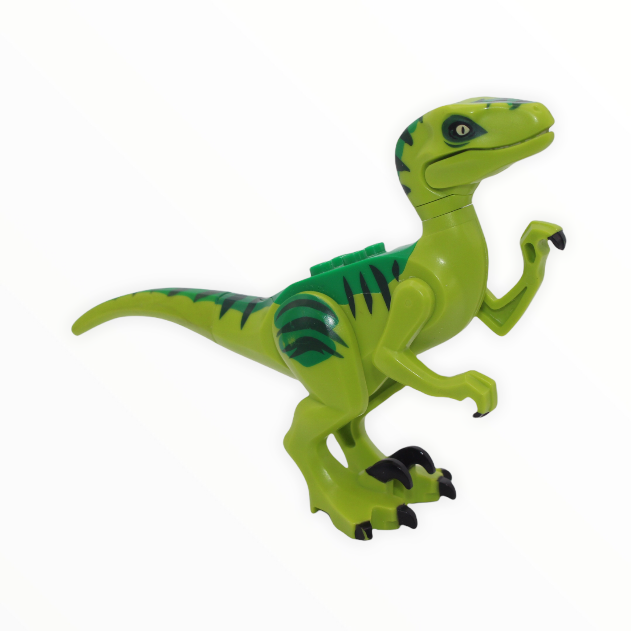 Lime Green Velociraptor (green back, dark green stripes)